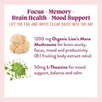 Microjoy Concentrate Gummies – Focus, Memory, Brain Health & Mood Support Supplement – Vegan, Non-GMO, Gluten-Free - Lemon Flavor (30 Servings)