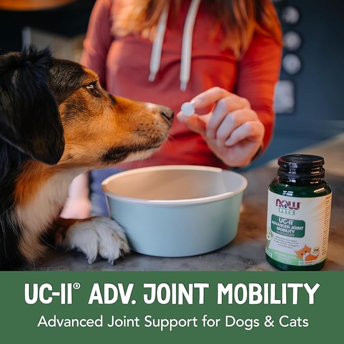 Now Pets, UC-II® Advanced Joint Mobility for Dogs and Cats, Veterinarian formulated, Help Maintain Cartilage and Connective Tissue*, 60 Chewable Tablets (60 Grams)