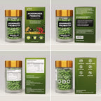 Akkermansia Muciniphila Probiotics 320 Billion CFU| Probiotic and Prebiotic | Akkermansia Probiotics for gut health | Inulin Prebiotic Fiber Capsules Astaxanthin & Berberine & Chromium 480 caps 4 pack