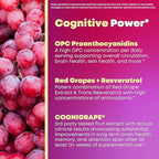 Resveratrol Complex Supplement with Clinically Tested Cognigrape Red Grape Extract OPC Proanthocyanidins - Antioxidant & Brain Health Support - 90 Veggie Capsules, Non-GMO, Gluten-Free, Vegan