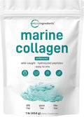 Micro Ingredients Marine Collagen Peptides Powder, 1 lb | Type I Marine Collagen + Natural Protein | Wild-Caught Fish Source | Unflavored | Pescatarian, Non-GMO