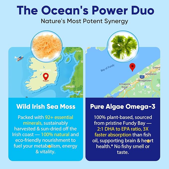 Sea Moss Gummies + Algae Omega-3 for Men Women, Sugar-Free Vegan 15-IN-1 Irish Seamoss Superfood with/EPA DHA, Vitamins B12 D3, Turmeric, Elderberry, Burdock Root, Support Energy, Brain, Immune 1 Pack