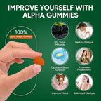 10-in-1 True Alpha Shilajit Gummies, 4000mg Himalayan Alpha Gummies for Men, Energy Boost, Immune Support, with Ashwagandha, Maca Root, Tongkat Ali, Fulvic Acid, 85+Trace Mineral, No Added Sugar, 60ct