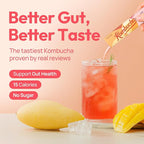 TEAZEN Mango Guava Kombucha Powder, Hydration Drink Mix, Sugar Free, Live Probiotics & Prebiotics, On-the-Go 10 Packets, 1.76oz
