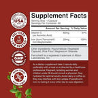 Slow Release Iron Supplement for Women & Men - Supports Health - Blood Support Iron Bisglycinate with Vitamin C - Gentle Energy & Immune Support - High Absorption Ferrous Bisglycinate - 60 Count