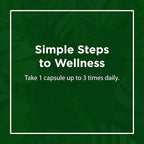 Flora - Immediate Support Digestive Enzymes - Supports Lactose Digestion, Bloating, Heartburn & Gas - Contains 7 Enzymes - Gluten-Free - 90 Vegetarian Capsules