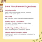 PURE SYNERGY D3 + K2 Complex | Vegan Vitamin D3 K2 Complex | Organic D3 Supplement with Vitamin K2 and K1 Plus Organic Whole Foods | Supports Bone, Brain, and Immune Health (60 Capsules)