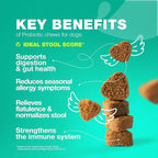 Probiotics for Dogs Gut Health, Digestion, Immunity, Yeast Balance, Itchy Skin, Allergies Support - Dog Probiotic Chews (Travel Pack) with Digestive Enzymes for Gut Flora - Pumpkin and Yeast Powder