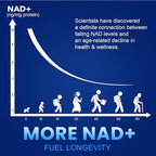 NMN 1000mg Per Serving Maximum Strength - 99% Pure NMN (Nicotinamide Mononucleotide) for NAD, Cell, Immune, Energy, Anti-Aging & Longevity, Stabilized NMN Supplements 1000mg - 60 Veggie Capsules