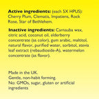 Bach RESCUE PASTILLES, Watermelon Flavor, Stress Relief Lozenges, Homeopathic, Flower Essences, 35 Count