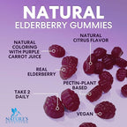 Elderberry Gummies - Black Elderberry Extract Immune Support Gummy with Vitamin C, D3 and Zinc - Sambucus Immune Health Support Supplement for Kids & Adults, Black Elder Berry Vitamins - 120 Gummies
