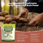Mushroom Gummies 16-In-1 Mushroom Blend With Ashwagandha Gummies For Brain Health,Cognitive, Memory & Focus,Energy 0g Added Sugar Mushroom Supplement Lions Mane,Reishi,Cordyceps,Turkey Tail,Chaga (90)