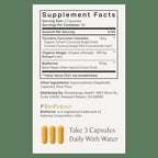 Stonehenge Health Dynamic Turmeric Curcumin with Ginger - High Potency - 1,650 mg Turmeric with 95% Curcuminoids & BioPerine, 90 Vegetarian Capsules