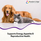 Breeder’s Edge B Strong Powder, B-Complex Vitamin Supplement for Dogs and Cats, Supports Reproductive Health, Promotes Normal Heat Cycles, and Helps Maintain Energy, 1kg