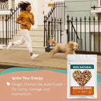 Premium Ginger Loose Leaf Tea with Marigold, Chamomile, Elderflower - Caffeine Free Herbal Tea with Real Herbs & Fruit – Te de Jengibre – 4oz.