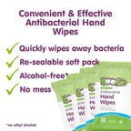 Antibacterial Hand Wipes by Boogie, Alcohol Free, Hypoallergenic and Moisturizing Aloe, Hand Wipes for Kids and Adults, 6 Packs of 20 (120 total wipes)