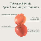Primal Harvest ACV Gummies, 60 Sugar Free Apple Cider Gummies Beetroot and Pomegranate to Support Immunity, Digestion and Detox 750 MG