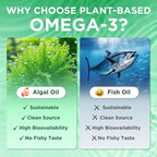 Vegan Omega-3 Gummies 1000mg, Omega 3 Fish Oil Alternative for Adults, Algae-Based DHA 600mg & EPA 300mg + Vitamins A, C, E, Zinc, Supports Overall Wellness, No Fish Taste, 60 Count