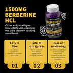 Nutravita Berberine Gummies with Ceylon Cinnamon 1500mg High Potency Berberine HCL Supplement for Immune and Metabolism Support, Sugar Free Organic Berberine Gummies Blueberry Flavor-2PACK