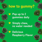 Kwala Nutrition Super Greens Gummies - with Moringa, Spirulina & Chlorella - Made in USA - 60 Gummies - 30 Day Supply