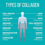 NaturesPlus Collagen Peptides - 0.65 lbs Powder, Pack of 2 - Hair, Skin, Nail & Joint Health, Immune System Support - Non-GMO, Gluten Free - Up to 56 Total Servings