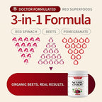 Snap Supplements Organic Beet Root Powder Nitric Oxide Supplement for Men & Women, Red Spinach & Pomegranate, Supports Healthy Energy & Blood Pressure Already in Normal Range, 30 Servings, Cherry Lime