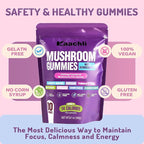 Ashwagandha and Mushroom Gummies 500mg with 8 Mushroom Blend (Reishi,Lion's Mane,Cordyceps) - Mushroom Gummies for Focus and Energy,Cognitive Boost -Mushroom Supplement for Adults,80 Count