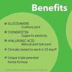 InClover Connectin Natural Hip & Joint Supplement for Dogs with Glucosamine, Chondroitin & Hyaluronic Acid - Powder for Dog Mobility, Comfort & Active Lifestyle Support, 12oz
