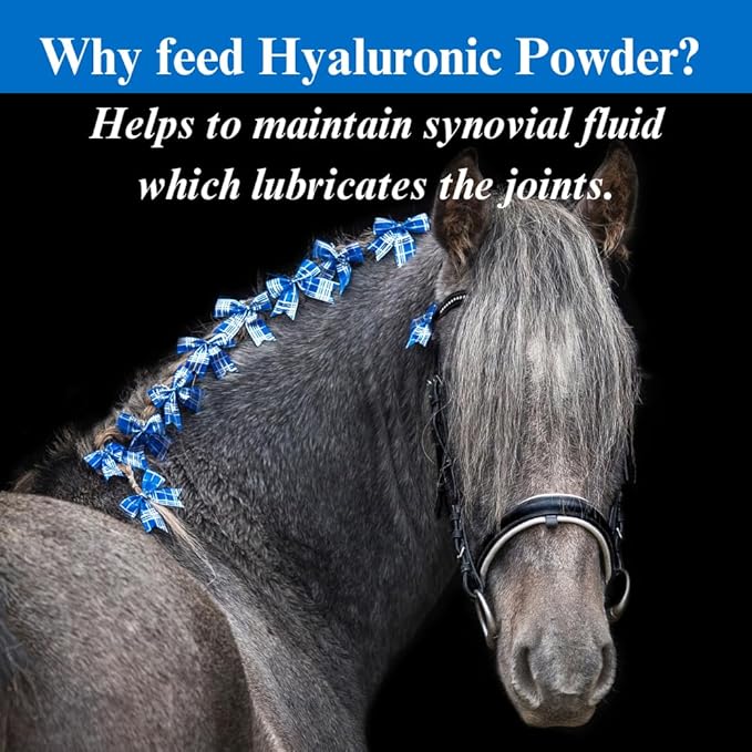 SU-PER Hyaluronic Joint Supplement for Horses - Supports Joints Health & Lubrication - Horse Hyaluronic Acid - 12.5 Pound, 6 Month Supply