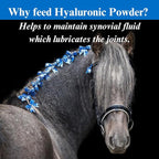 SU-PER Hyaluronic Joint Supplement for Horses - Supports Joints Health & Lubrication - Horse Hyaluronic Acid - 12.5 Pound, 6 Month Supply