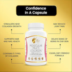 Cocó March N.M.D. Molecular Multi-Collagen - Types I, II, III, V & X – Hair, Skin, Nails & Joint Support for Women & Men – Low Molecular Weight Collagen, Gluten Free, Dairy Free, Soy Free, 90 Capsules