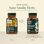 Gaia Herbs Adaptogen Performance - Energy Support Supplement with Ingredients Traditionally Used to Help Sustain Endurance & Stamina* - with Cordyceps & Ashwagandha - 60 Vegan Capsules (60 Servings)