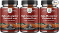 Slow Release Iron Supplement for Women & Men - Supports Health - Blood Support Iron Bisglycinate with Vitamin C - Gentle Energy & Immune Support - High Absorption Ferrous Bisglycinate - 60 Ct - 3pk