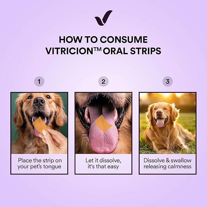 Pet Calming Oral Strips for Dogs and Cats – 60 Strips, Fast-Acting Anxiety Support Supplement with Melatonin and L-Theanine, Natural Support for Travel, Thunder, Grooming – Blueberry Mint