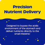 Enzymedica, pH-Basic, Includes Digestive Enzymes, Nutrients & Herbs, Supports Healthy Digestion & pH Balance, 120 Count