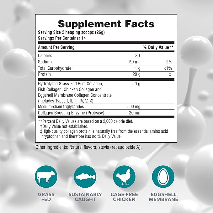 NaturesPlus Collagen Peptides, Vanilla - 0.8 lb Powder, Pack of 2 - Hair, Skin, Nail & Joint Health, Immune System Support - Non-GMO, Gluten Free - 28 Total Servings