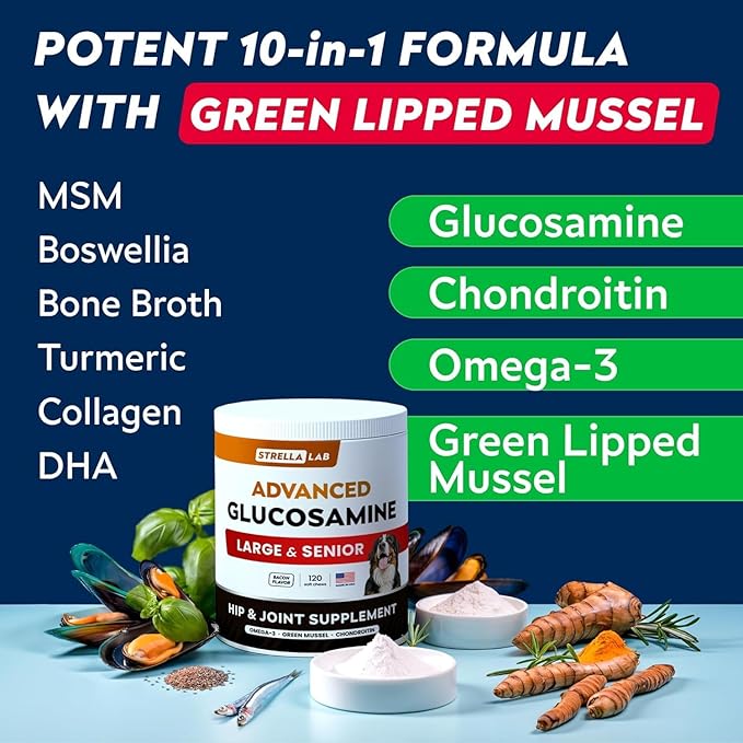 STRELLALAB Advanced Glucosamine Hip & Joint Supplement for Senior Dogs - Green Lipped Mussel & Collagen - Hip & Joint Pain Relief - Large & Small Breed - Joint Health - Bacon - 240 Chews
