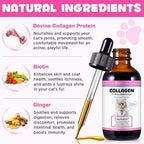 Collagen for Cats, Liquid Collagen for Cat, Liquid Collage Skin and Coat Cats, Cats Collagen, Itch Relief for Cat with Biotin, Supplement for Cats Salmon Flavor
