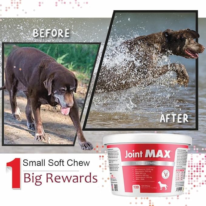 TS Joint Supplement Vet Formulated Pain & Inflammation Relief Treats Hip Dysplasia & Arthritis, Glucosamine, Chondroitin, Turmeric, MSM, HA, Creatine, Omega 3 EPA + DHA.120 Soft Chews