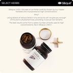 Blisque – Liver Complex Supplement to Detox, Cleanse, and Repair the Liver | Doctor Approved | Natural Ingredients | Milk Thistle, Dandelion, and Burdock Root | 90 Capsule Pills