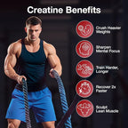 Creatine Gummies for Men & Women - Creatine Monohydrate Gummies 5g, Low Sugar Creatine Supplement for Muscle Builder, Energy Boost & Pre-Workout Supplement, Raspberry Flavor, 160 Gummies (2 Bottles)