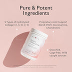 Alaya Multi Collagen Powder - Type I, II, III, V, X Hydrolyzed Collagen Peptides Protein Powder Supplement with MSM + GC (Unflavored) (40 Servings)
