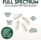 Multi Collagen 2400mg Per Serving - Advanced Formula Types I, II, III, V, X - Hydrolyzed Multi Collagen Pills - Collagen Peptides Supplement for Women & Men - Hair, Skin, & Nail Support - 60 Capsules