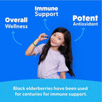 Feel Great Vitamin Co. Elderberry Gummies for Kids | Immune Support | Natural Antioxidant Immune Booster | with Vitamin C and Zinc | Gluten Free & Vegetarian | 90 Gummies