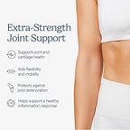Zenwise Health Joint Support Supplement with Glucosamine Chondroitin MSM, Curcumin & Sulfate - Joint Health for Women & Men - Mobility & Flexibility Support for Knee, Cartilage & Bone - 180 Count