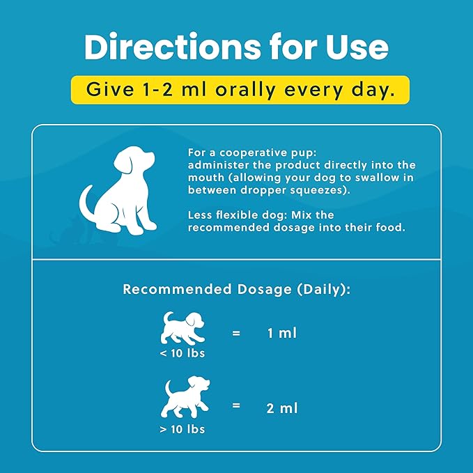 Paramount Pet Health Liquid Glucosamine for Small Dogs, 260mg Glucosamine Liquid for Dogs Joint Supplement for Mobility & Comfort, Easy-to-Use Liquid MSM & Chondroitin, 2 oz