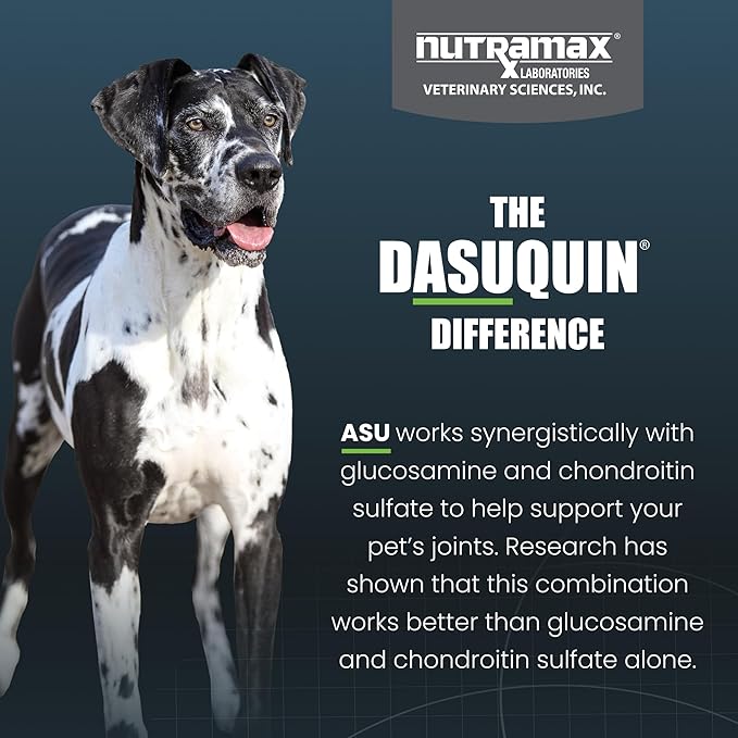 Nutramax Dasuquin for Large Dogs, Joint Health Supplement, Contains Glucosamine for Dogs, Plus Chondroitin, ASU, MSM and More, Supports Healthy Joints, Chewable Tablets, 150 Count