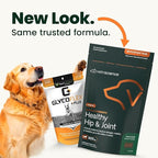 VetriScience Ultimate Strength Healthy Hip & Joint Chews, GlycoFlex Glucosamine, Chondroitin and Green-Lipped Mussel Joint Supplement for Small Breed Dogs, Soothe Joint Discomfort, Duck, 60 Count