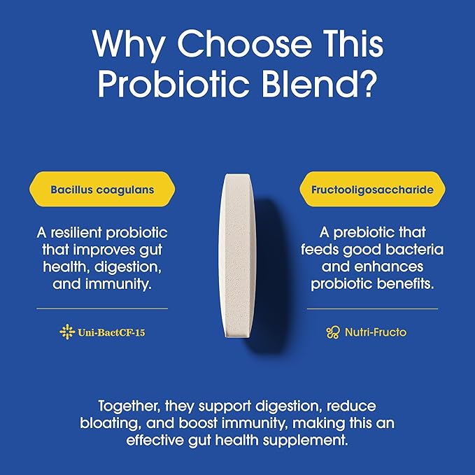 Nutrition Essentials Probiotics for Women and Men with Natural Lactase Enzyme & Prebiotic Fiber for Digestive Health - 80percent + Stronger Supplement for Gut Health Support - 3 Count of 60 Tablets