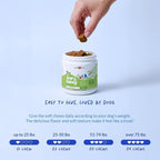 Milk Thistle for Dogs - 90 Soft Chews - Liver and Kidney Support - Hepatic Support with EPA & DHA - Detox - Liver Supplement for Dogs with Choline and L-Arginine.